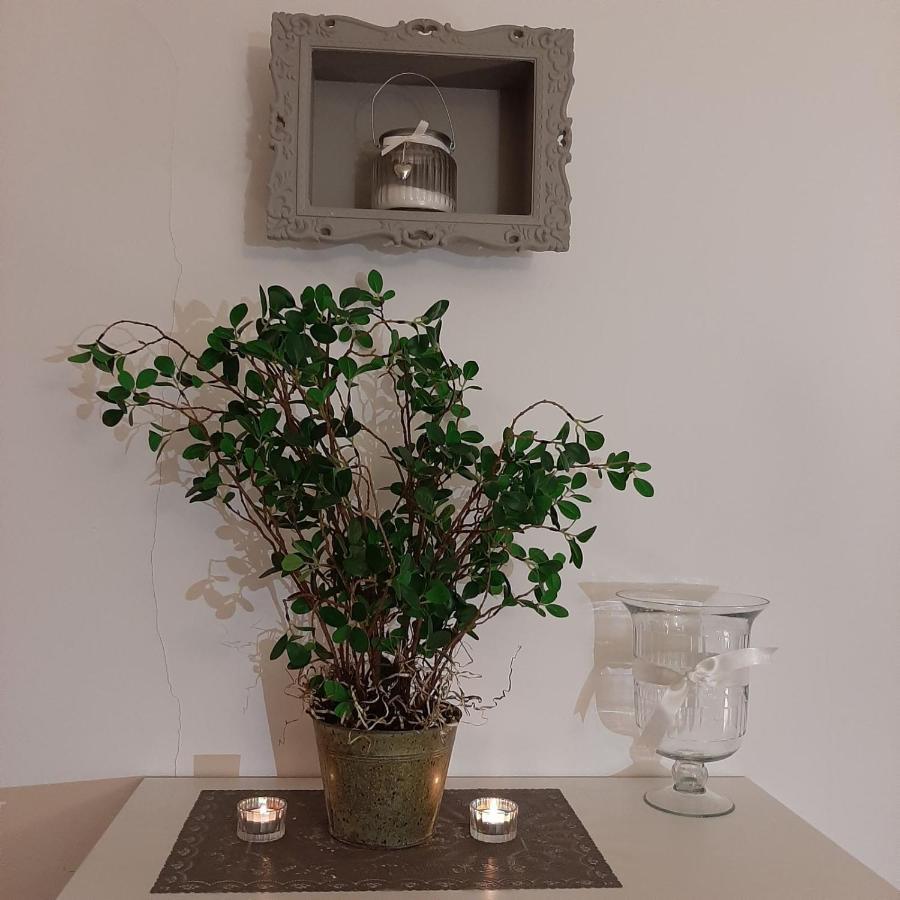 מריבור Apartment Lautus מראה חיצוני תמונה